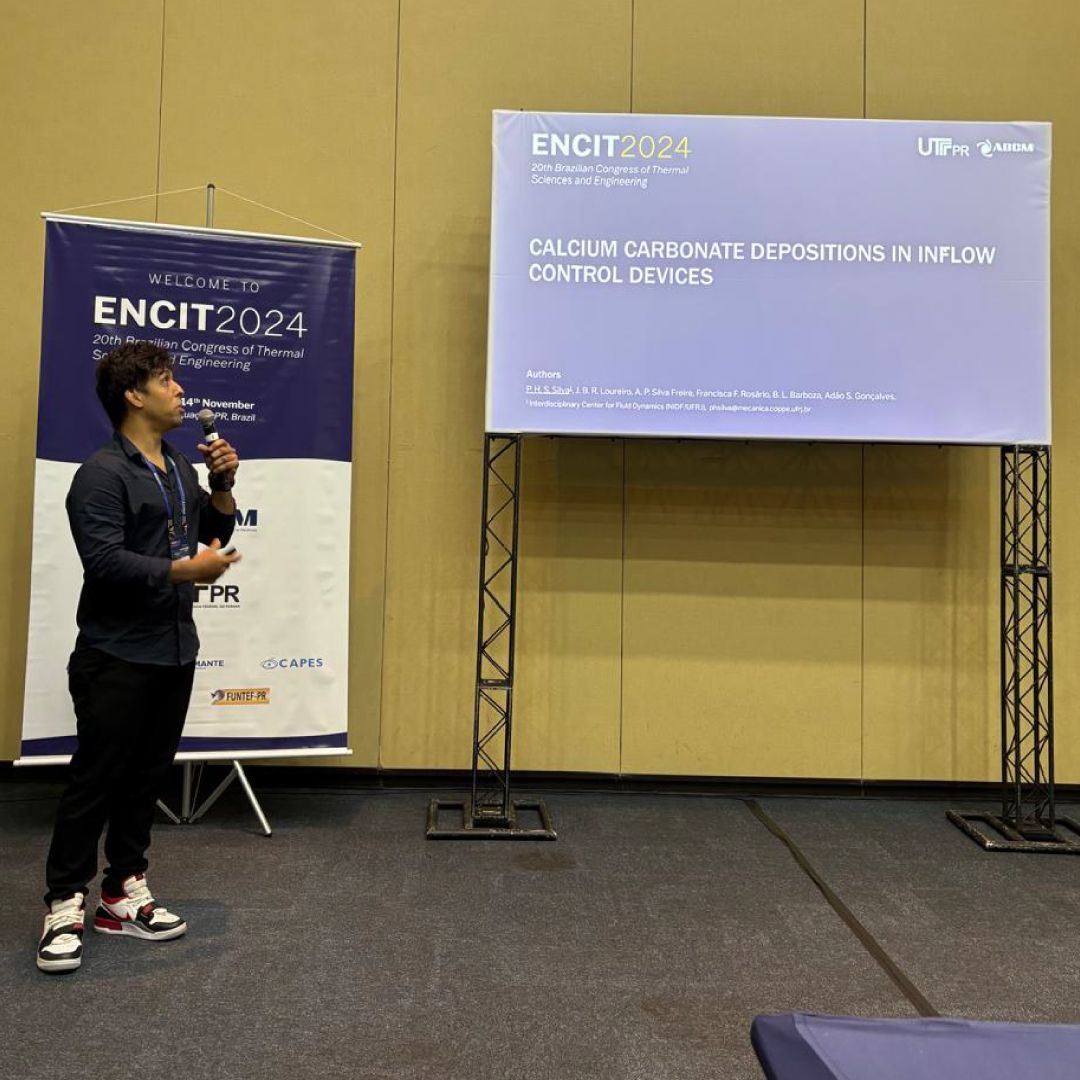 Descrição da Imagem